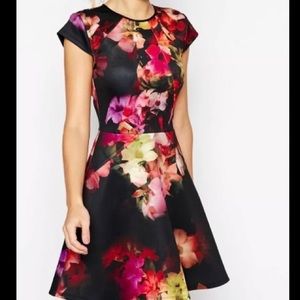 Ted Baker “Embla" Floral Skater Dress!
